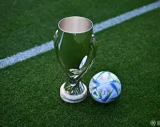 体育平台-asstrongasahorse谚语